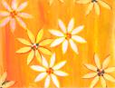 Autumn Daisies notecard